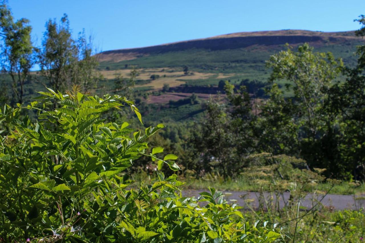 Ash * Merthyr Tydfil